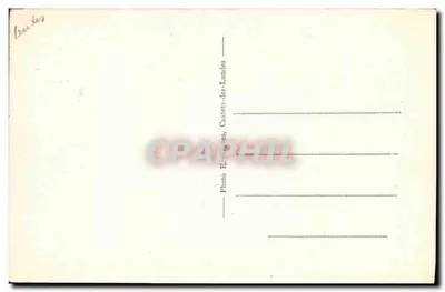 Nos Landes — A floresta de pinheiros e samambaias — Foto E. Wiertes, Castets-des-Landes — Verso