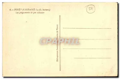Woud van Andaine — Bebossing van wilg — Héliogravure Imprimeries Réunies de Nancy — Achterkant