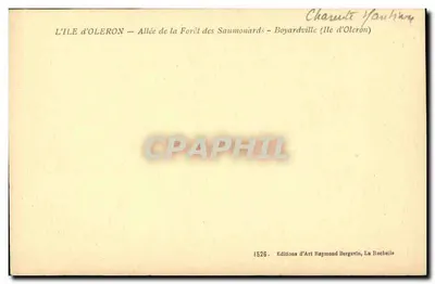 Avenida da Floresta dos Saumonards — Boyardville — Edições de Arte Raymond Bergerin — Verso