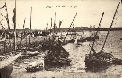 La Trinité - Le Quai — vista do porto com muitos barcos — editor Laurent-Négrines, série 1777