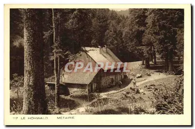 Le Hohwald - Metairie — Bilhete postal antigo n°117, editada por Braun & Cie, Mulhouse