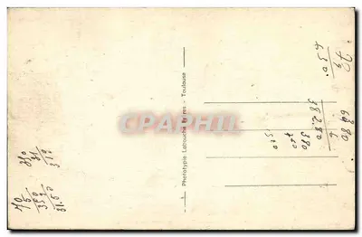 Szczur z dwoma szczeniakami w koszyku — wydawca P-C Paris, nr 39 — Rewers