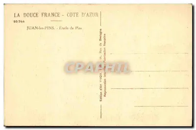 Juan-les-Pins — Estudo de Pinheiros — Edição de Arte YVON — Verso