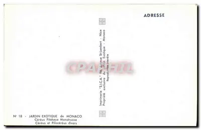 Giardino Esotico di Monaco — Cereus e Pilocereus diversi — Tipografia 'S.I.C.A.' Nizza — Verso