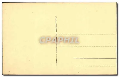 NICE - Ogólny widok przez cypory — seria 167 — wydawca Alsacienne des Arts Photographiques — Rewers
