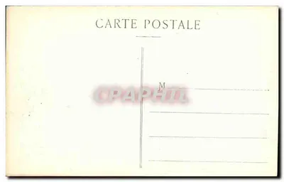 LYON - Ptaki morskie nad mostem Lafayette — S. Farges, wyd. Lyon, nr 5713 — Rewers