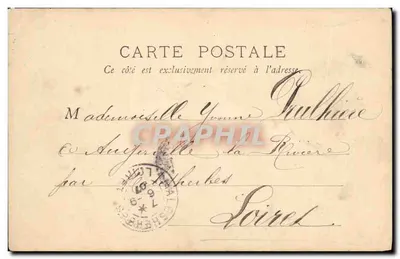 Cedri del Giardino delle Piante — Parigi — editore non identificato, n° di serie 121 — Verso