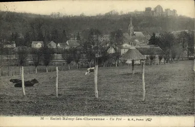 Saint-Rémy-les-Chevreuse — Um Campo — B. F., PARIS