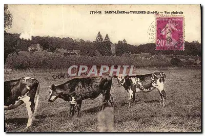 सेंट-लेजर-एन-यवलिन्स (S.-et-O.) — सामान्य दृश्य — पहचान नहीं हो सका, श्रृंखला संख्या 779-675