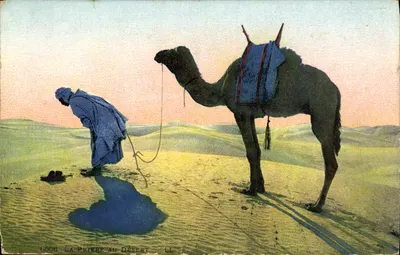 A Oração no Deserto — LL, n° 6508