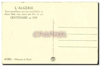 Aurès — Palmeraie de Roufi — Editor SPÉGA — Verso