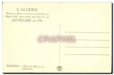 Tlemcen — Bosque dos Oliveiras e túmulos — SPBA — Verso