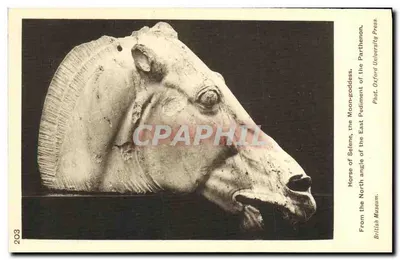Cabeça de cavalo de Sélene — Pedimento oriental do Parthenon — Foto. Oxford University Press
