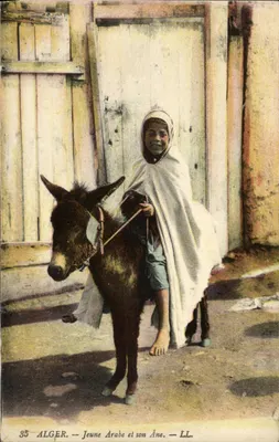 Argélia — Jovem Árabe e seu Burro. — LL. — N° 35