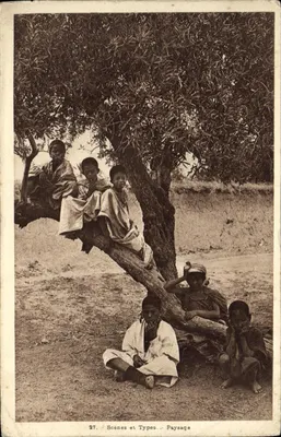 Crianças sob uma oliveira — Cenas e Tipos — Paisagem — n°27 — Coleção Ideal, Argel