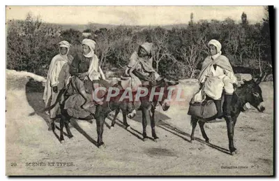 Cenas e Tipos — Quatro homens a cavalo em muletas — Coleção Ideal P. S. n°29