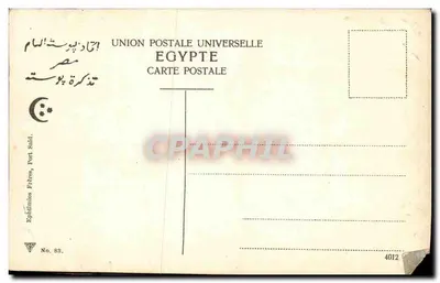 Egipt — Kolumnada kamelów w pustyni — Ephilimio Frères, Port Said, nr 88 — Rewers