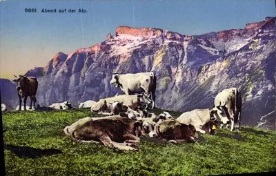 Evening on the Alpine Pasture — 9881 — Wehrli A.-G., Kilchberg-Zürich