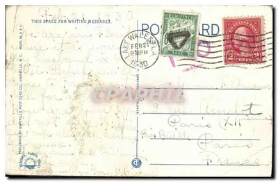 Crocodilo — Um Crocodilo que Mata Homens na Flórida — Publicado pela Asheville Post Card Co. — Verso