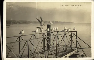 Lake Léman — The Gulls — Swiss Production No. 5128