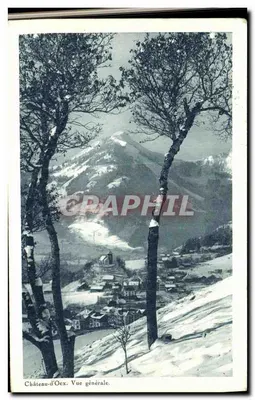Castelo de Oex. Vista geral — Bilhete postal moderno editada por Bilhete postal moderno
