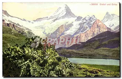 Distel und Erika — Snowy Mountain and Lake — Edition Photolor, Zürich, no. 30055