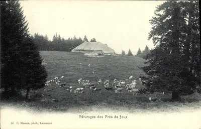 Đồng cỏ Prés de Joux — C. Messaz, chụp ảnh, Lausanne, số 56