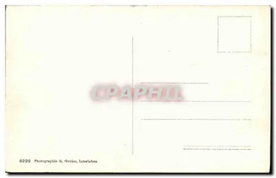 Kl. Scheidegg i Wetterhorn — widok panoramiczny — fotografia R. Gablier, Interlaken — Rewers
