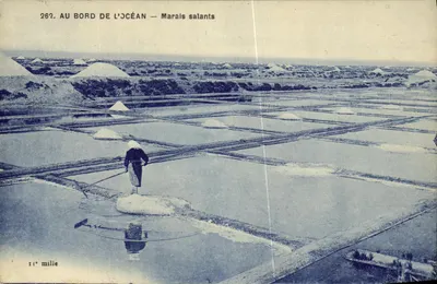 By the Ocean — Salt Marshes — 11th thousand