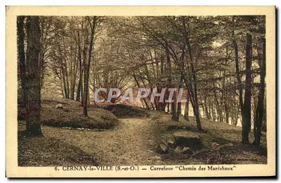 CERNAY-la-VILLE (S.-et-O.) — Cruzeiro "Chemin des Maréchaux"