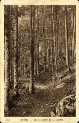 Hohwald — Ao longo do caminho da cascata — Imp. Edit. SRATON & Cie. Dornach (Ht-Rhin) n°1164
