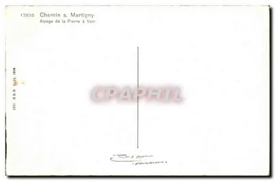 Alpaga de la Pierre à Voir — Chemin s. Martigny — n° 13935 — Rewers