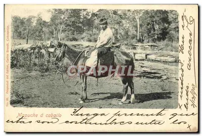 Mapuche a cavalo — No. 88 — Propriedade do editor, Carlos Brandt, Concepción