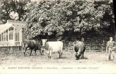 Marist Brothers' College — Grove Ferry — Canterbury — Nos bonnes « Jerseynes »