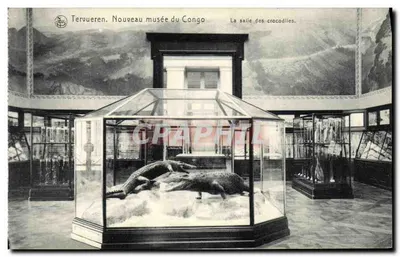 Tervueren, Novo Museu do Congo — Sala dos Crocodilos — Edição NLS