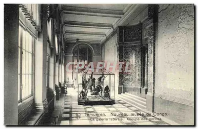 Tervueren, Novo Museu do Congo — Galeria Lateral, Grupo de Gorilas — Edição Michiels-Lobillo, Tervueren