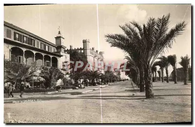Paseo de Salara — vista da promenade com palmáceas e edifícios — editor P.M.