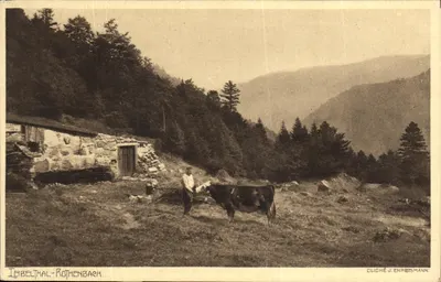 Leibeltal-Rothenbach — krajobraz górski z pasterzem i krówką — zdjęcie J. Ehrtsmann
