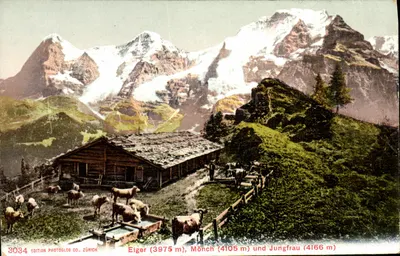 Widoki gór Eiger, Mönch i Jungfrau — wydawnictwo Photoglob Co., Zurych, nr 3084
