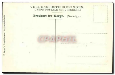 Laatefoss — wodospad i most kamienno-archowy — F. Beyer's Touristbureau, Bergen — Rewers
