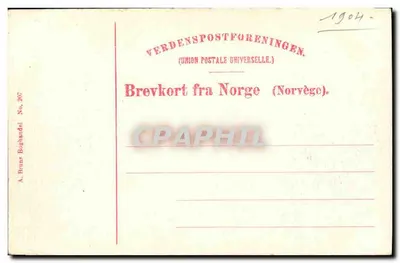 Munkegaden com Stiftsgaarden — A. Bruns, Brevkort No. 297 — Verso
