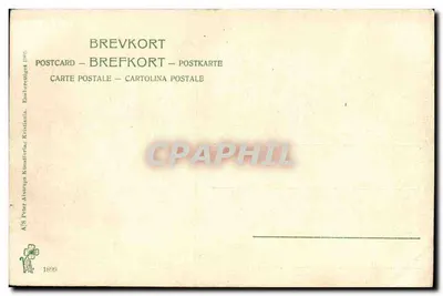 Molde — Hotel Alexandra i nabrzeże — A/S Peter Alverups Kunstforlag, seria 1890 — Rewers