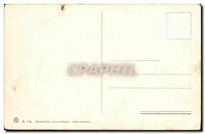 Scena wsi z zwierzętami — Brunner & C., Zurych — n° S. 118 — Rewers