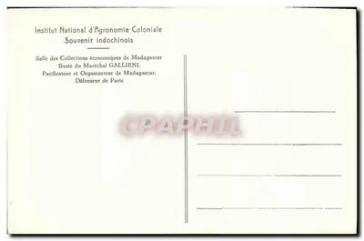 Sala delle Collezioni Economiche di Madagascar — Istituto Nazionale Agronomico Coloniale — Busto del Maresciallo GALLIENI — Verso