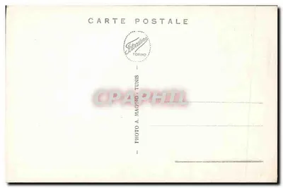 Tunis — Katedra — widok budynku z dwiema wieżami i palmami — wydawca Photocelere Torino, nr 16 — Rewers