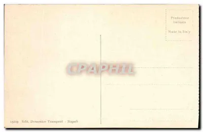 Pompéi - Casa di Pansa — ruínas com colunas e montanha no fundo — Edit. Domenico Trampetti, n° 15119 — Verso