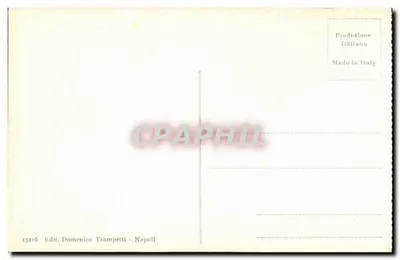 Pompei — Casa del Fauno danzante — Editore Domenico Trampetti, n° 15116 — Verso