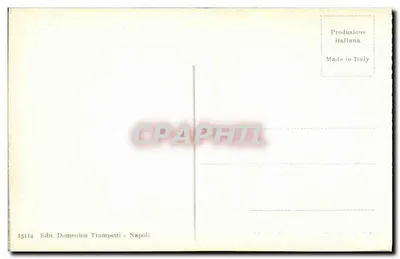 Pompei - Casa degli Amorini d'oro — editor Domenico Trampetti, n° 15114 — Verso