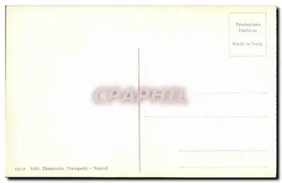 Pompéi - Foro Triangolare — editor Domenico Trampetti, n° 15110 — Verso