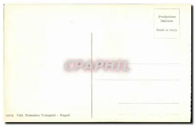 Pompei - Basilica — vista delle rovine con colonne — editore Domenico Trampetti, n°1294 — Verso